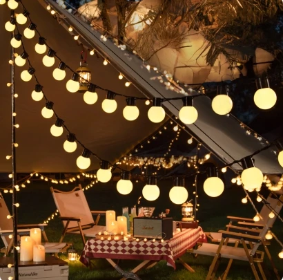Mini Festoon Lights
